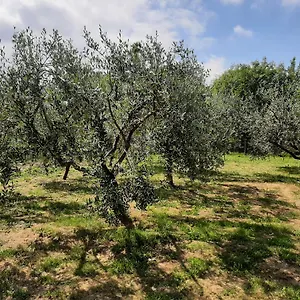 La Casetta Di Bianca Casa vacanze Riccò del Golfo di Spezia